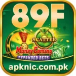 89f Game