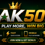 PAK500 Game