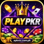 PLAYPKR Game